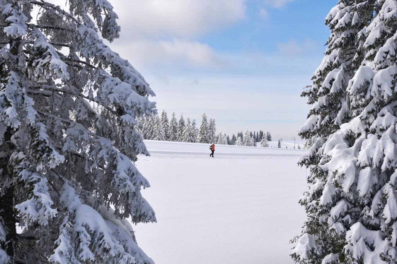 Hotel Natura Rogla Экстерьер фото
