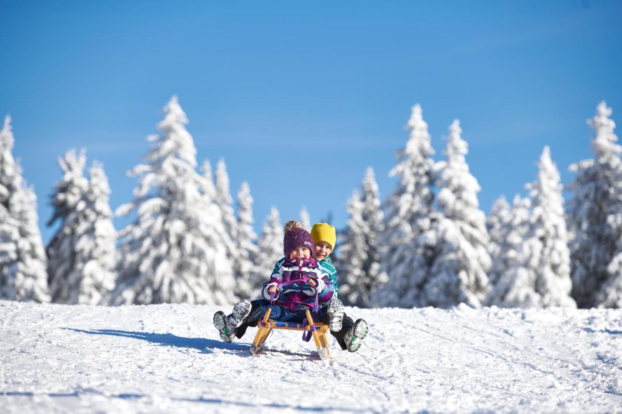 Hotel Natura Rogla Экстерьер фото