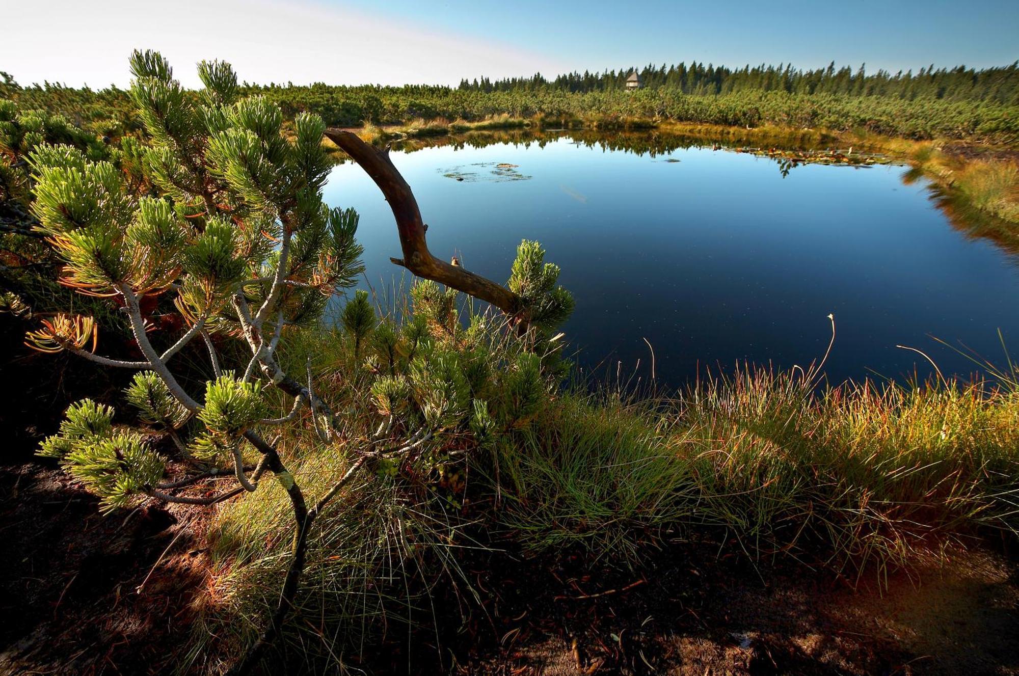 Hotel Natura Rogla Экстерьер фото